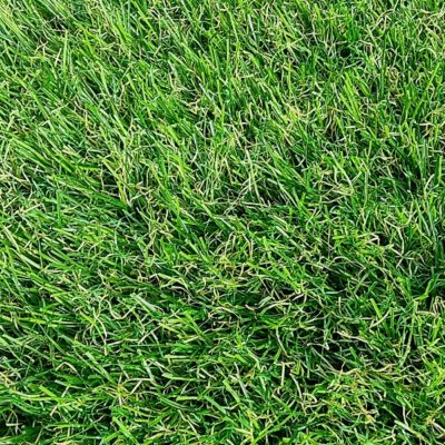 2Mx5M soit 10m2 -  Gazon Synthetique 35mm -