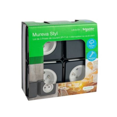 3 prises avec terre + 1 interrupteur va-et-vient Schneider Electric ...