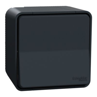 Interrupteur va-et-vient étanche complet saillie Schneider Electric Mureva Styl anthracite