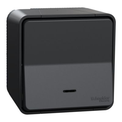 Interrupteur va-et-vient lumineux étanche complet saillie Schneider Electric Mureva Styl gris anthra