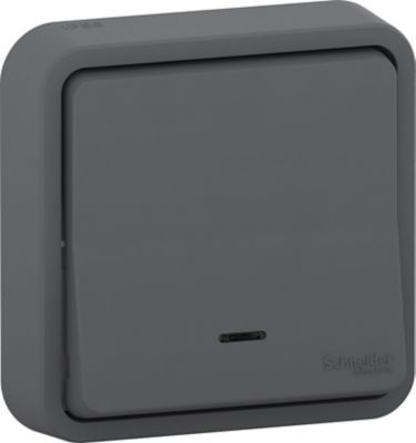 Interrupteur va-et-vient encastré étanche complet Schneider Electric Mureva Styl anthracite