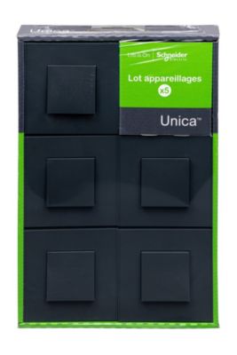 Va et vient Schneider Electric anthracite, lot de 5