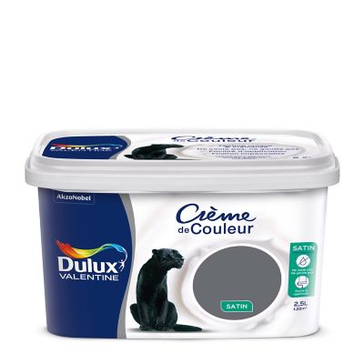 Peinture murs plafonds et boiseries Crème de Couleur Dulux Valentine satin anthracite 2,5L