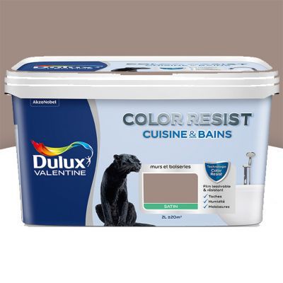 Peinture Cuisine Et Salle De Bain Dulux Valentine Color Resist Taupe Satin 2l Castorama