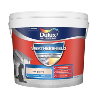 Peinture Facade Toutes Conditions Climatiques Dulux Valentine Ton Pierre 10l Castorama