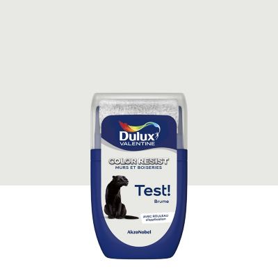 Testeur de peinture Color Resist murs et boiseries Dulux Valentine mat brume 30ml