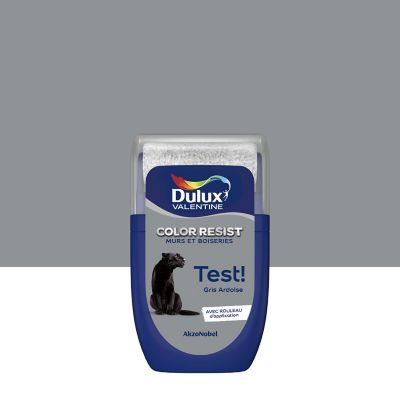Testeur de peinture Color Resist murs et boiseries Dulux Valentine mat gris ardoise 30ml