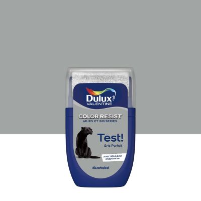 Testeur de peinture Color Resist murs et boiseries Dulux Valentine mat gris parfait 30ml