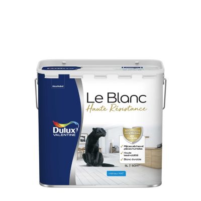Peinture murale le Blanc Dulux Valentine haute résistance mat blanc 5L
