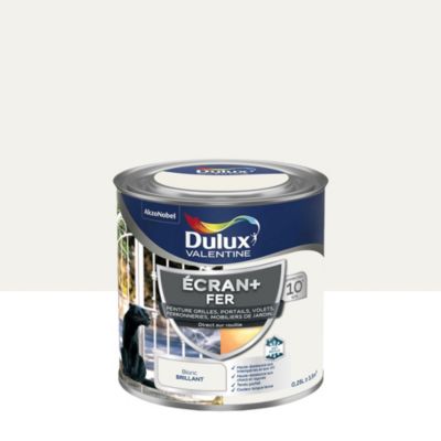 Peinture extérieure Ecran+ fer Dulux Valentine brillant blanc 250ml