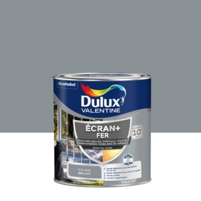 Peinture extérieure Ecran+ fer Dulux Valentine brillant gris acier 500ml