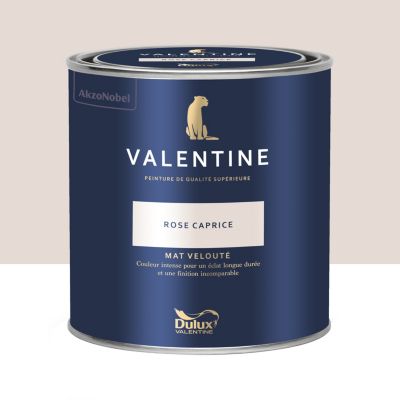 Peinture intérieure couleur mur et plafond Valentine mat velouté rose caprice 0,5L
