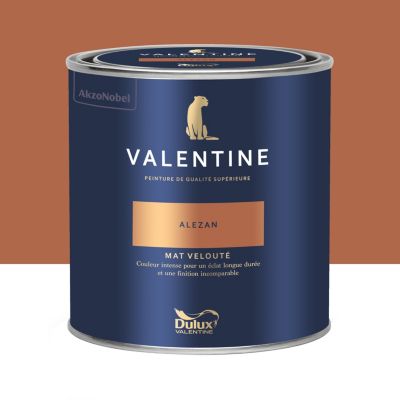 Peinture intérieure couleur mur et plafond Valentine mat velouté rouge alezan 0,5L