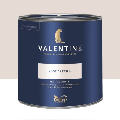 Peinture intérieure couleur mur et plafond Valentine mat velouté rose caprice 2L