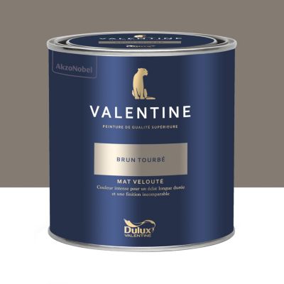 Peinture intérieure couleur mur et plafond Valentine mat velouté beige brun tourbé 0,5L