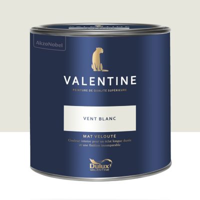 Peinture intérieure couleur mur et plafond Valentine mat velouté blanc vent blanc 2L