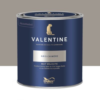 Peinture intérieure couleur mur et plafond Valentine mat velouté gris chimère 0,5L