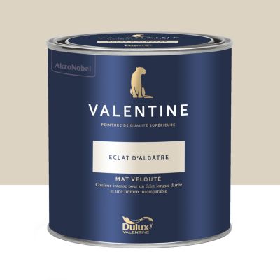 Peinture intérieure couleur mur et plafond Valentine mat velouté blanc éclat d'albâtre 0,5L
