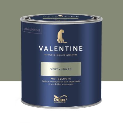 Peinture intérieure couleur mur et plafond Valentine mat velouté vert yunnan 0,5L