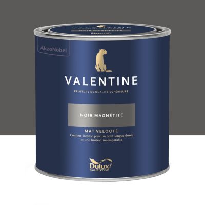 Peinture intérieure couleur mur et plafond Valentine mat velouté noir magnétite 0,5L