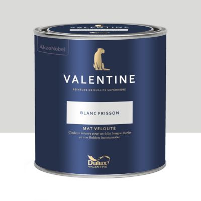 Peinture intérieure couleur mur et plafond Valentine mat velouté blanc frisson 0,5L