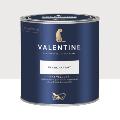 Peinture intérieure couleur mur et plafond Valentine mat velouté blanc parfait 0,5L
