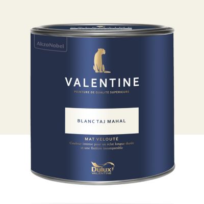 Peinture intérieure couleur mur et plafond Valentine mat velouté blanc taj mahal 2L