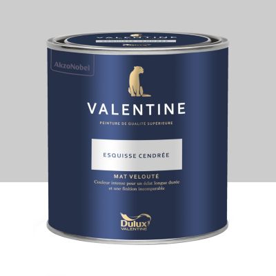Peinture intérieure couleur mur et plafond Valentine mat velouté gris esquisse cendrée 0,5L