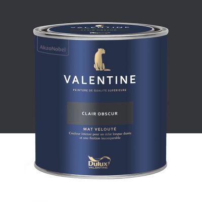 Peinture intérieure couleur mur et plafond Valentine mat velouté noir clair obscur 0,5L