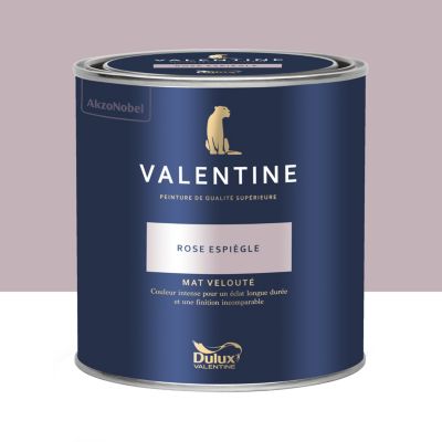 Peinture intérieure couleur mur et plafond Valentine mat velouté rose espiègle 0,5L