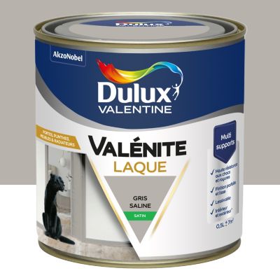 Laque Valénite Dulux Valentine Acrylique satin blanc gris saline 500ml