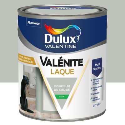 Laque Valénite Dulux Valentine Acrylique satin vert douceur de l'aube 2L