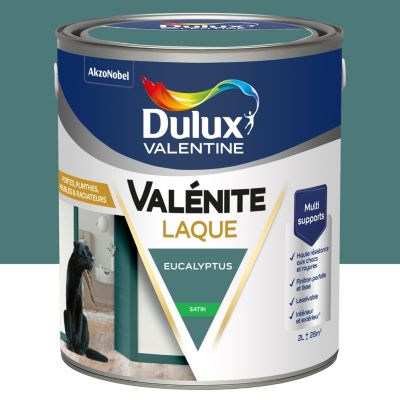 Laque Valénite Dulux Valentine Acrylique satin vert eucalyptus 2L