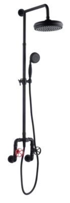 Colonne de douche mécanique avec pommeau + douchette 1 jet + flexible + barre réglable  noir  Edouard Rousseau Industriel