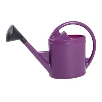 Arrosoir EDA prune 3L