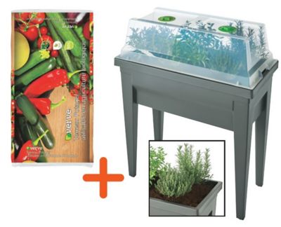 Serre de culture Veg & Table city EDA 57L gris anthracite