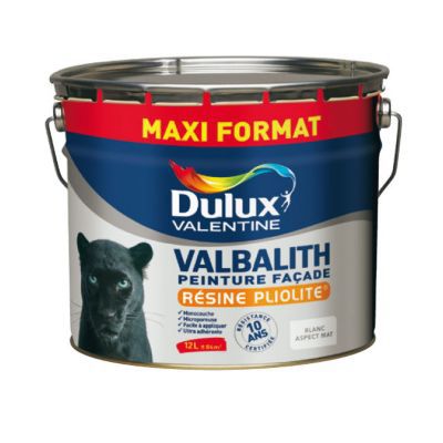Peinture extérieure façade monocouche microporeuse Valbalith Dulux Valentine mat blanc 12L