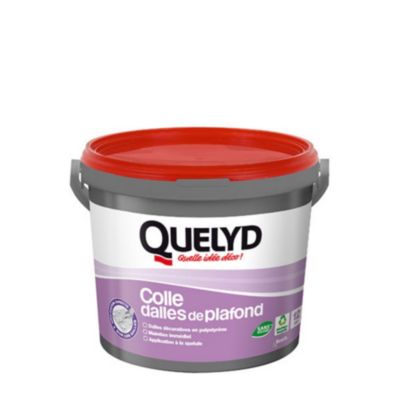 Colle Quelyd pour Dalles de plafond Pâte 4 kg