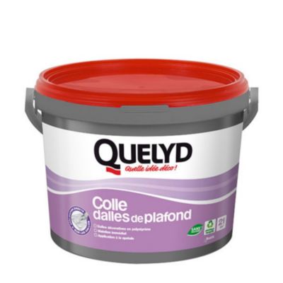 Colle Quelyd pour Dalles de plafond Pâte 7 kg