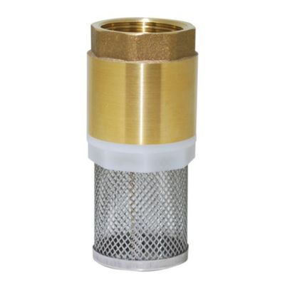 Boutté Clapet filtre femelle 50x60 PN10 bars avec filtre en inox non démontable