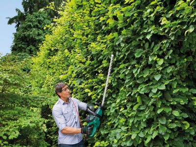 Taille haie bosch ahs 700 34