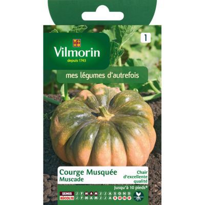 Graines de Courge Musquée d'Hiver de Provence