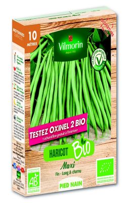 Graines de Haricot Nain Maxi 10m