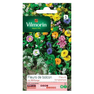 Graines de Fleurs Annuelles en Mélange pour Balcons