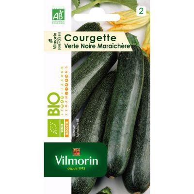 Graines de Courgette Verte Noire Maraîchère Bio