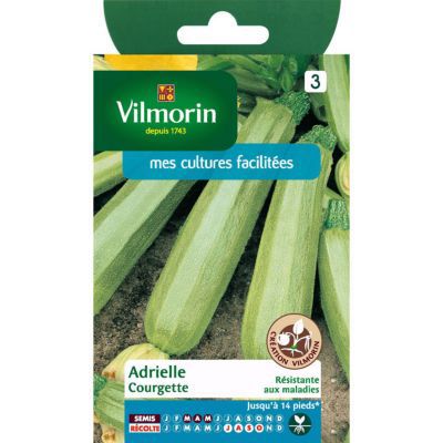 Graines de Courgette Adrielle Hybride F1
