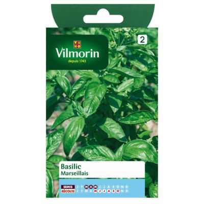 Graines de Basilic Marseillais Vilmorin