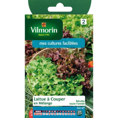 Graines de Laitue en Mélange (Bowl verte et rouge)