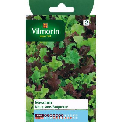 Graines de Mesclun Doux Sans Roquette