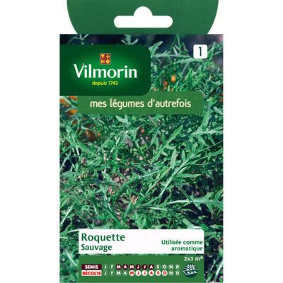 Graines de Roquette Sauvage